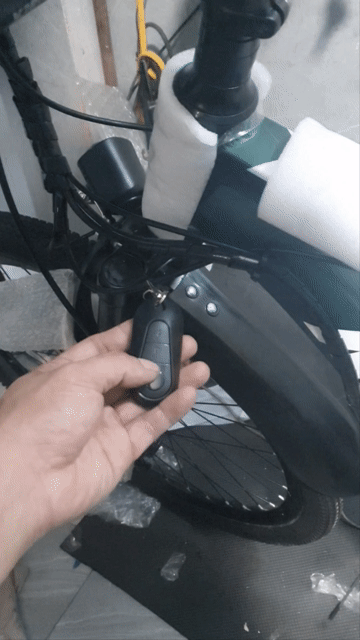 Xe đạp điện màu Xám. Mua bán Xe đạp tại Quận Ba Đình Hà Nội được đăng bởi David Trung hình 1