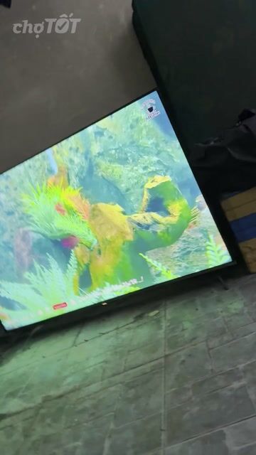 Tivi TCL Google TV 55 inch Màn hình sọc. Mua bán Tivi, Âm thanh tại Quận Nam Từ Liêm Hà Nội được đăng bởi Khánh Dương hình 1