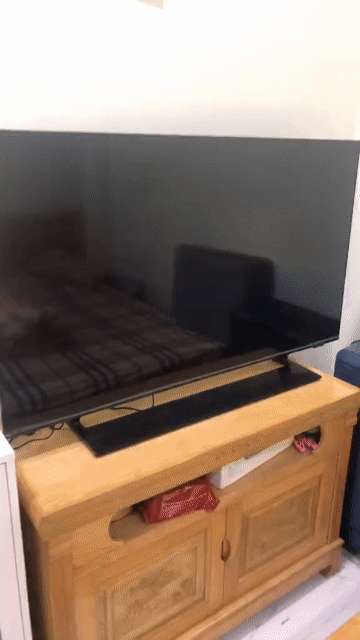 Tivi Samsung Qled 50 inch 2021 Hư màn hình. Mua bán Tivi, Âm thanh tại Huyện Bình Chánh Tp Hồ Chí Minh được đăng bởi Kim hình 1
