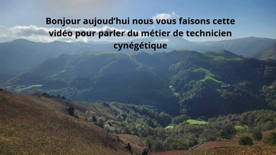 Découvrer ce qu'est un technicien cynégétique