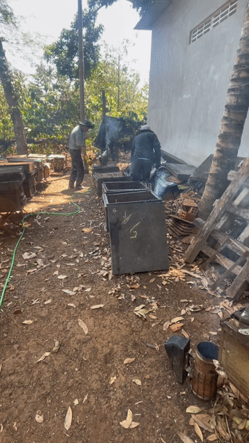 Mật ong Đắk Lắk Hoa cà phê. Mua bán Đồ ăn, thực phẩm và các loại khác tại Thành phố Bà Rịa Bà Rịa - Vũng Tàu được đăng bởi nhi hình 1