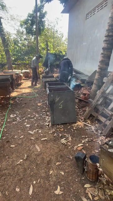 Mật ong Đắk Lắk Hoa cà phê. Mua bán Đồ ăn, thực phẩm và các loại khác tại Thành phố Bà Rịa Bà Rịa - Vũng Tàu được đăng bởi nhi hình 1