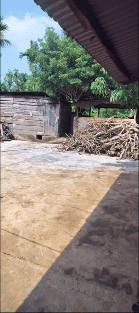 Mua bán Đất Huyện Krông A Na Đắk Lắk diện tích 13000 m² giá 7,15 tỷ