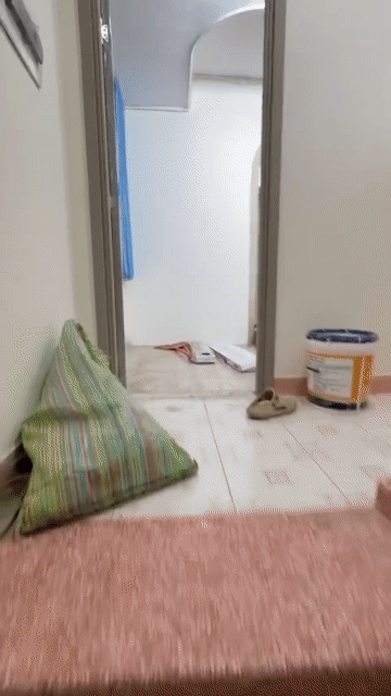 Cho thuê Căn hộ Chung cư Quận Tân Phú Tp Hồ Chí Minh diện tích 50 m² giá 8,8 triệu/tháng