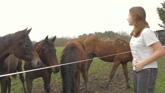 Cheval boueux, cheval heureux