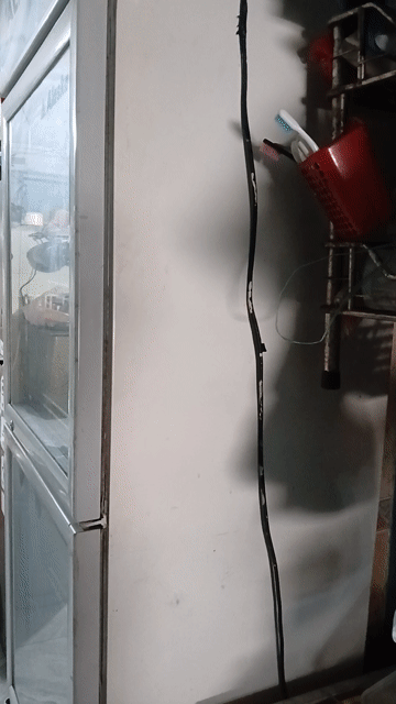 Tủ mát Alaska Trắng. Mua bán Tủ lạnh tại Quận Gò Vấp Tp Hồ Chí Minh được đăng bởi Lê Thị Thẩm hình 1