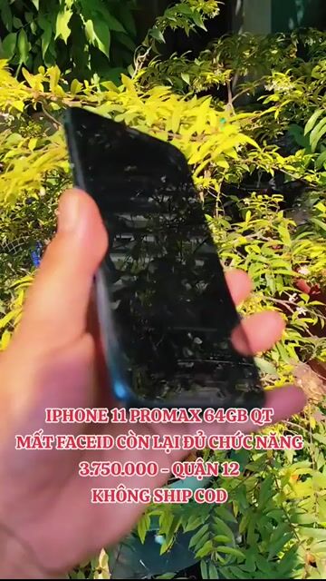 Apple iPhone 11 Pro Max 64GB Xám. Mua bán Điện thoại tại Quận 12 Tp Hồ Chí Minh được đăng bởi Võ Gia Group hình 1
