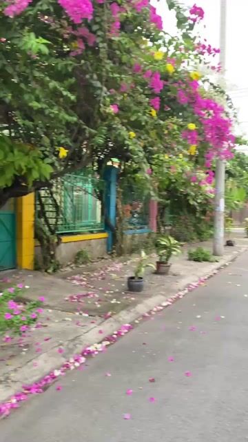 Honda Wave RSX 110 2020 màu đen đã sử dụng. Mua bán Xe máy tại Thành phố Thủ Đức Tp Hồ Chí Minh được đăng bởi Nguyễn Thanh Bình hình 1