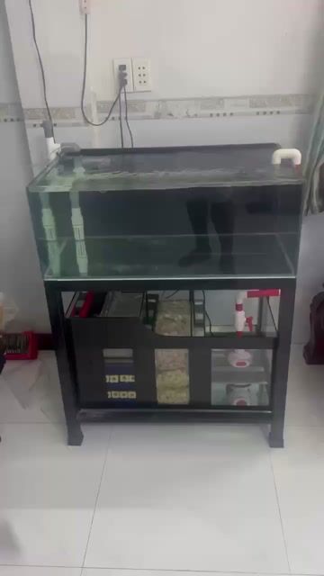 Bể cá cảnh Kính 8li 80x50x30cm Mới. Mua bán Phụ kiện, Thức ăn, Dịch vụ tại Thị xã Phú Mỹ Bà Rịa - Vũng Tàu được đăng bởi Pets  hình 1