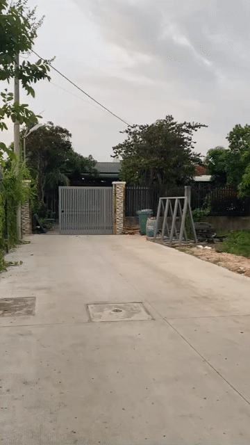 Mua bán Đất Huyện Hóc Môn Tp Hồ Chí Minh diện tích 98 m² giá 2,9 tỷ