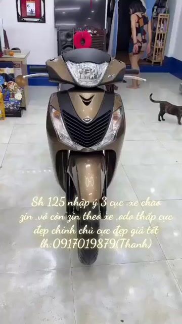 Honda SH 125 2010 Vàng đồng. Mua bán Xe máy tại Thành phố Vũng Tàu Bà Rịa - Vũng Tàu được đăng bởi XE MÁY BẢO THANH  TPVŨNG TÀU hình 1