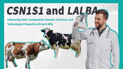 Encyclopedia-CSN1S1, LALBA & Factors Behind Better Cow’s Milk
