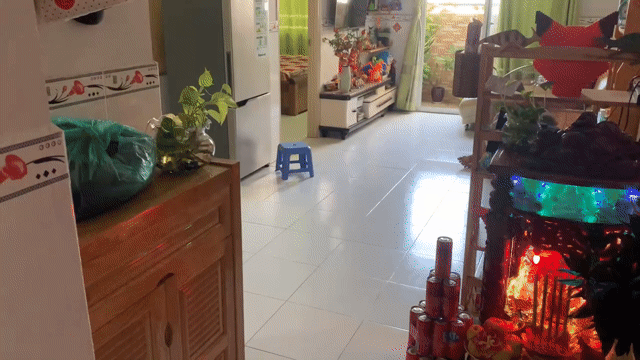 Mua bán Căn hộ Chung cư HQC Plaza Huyện Bình Chánh Tp Hồ Chí Minh diện tích 55 m² giá 1,46 tỷ