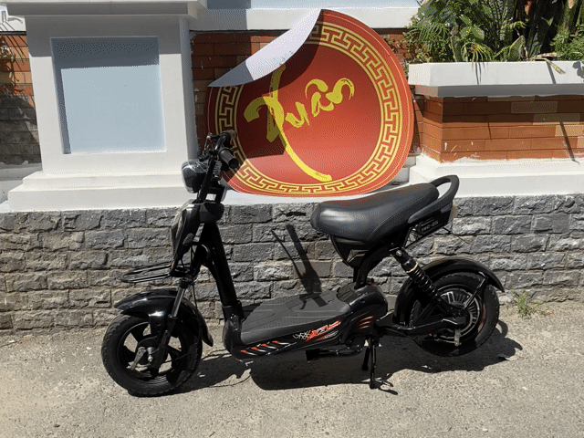 Xe đạp điện 133s màu Đen. Mua bán Xe đạp tại Quận 12 Tp Hồ Chí Minh được đăng bởi Lê Xuân Sơn hình 1
