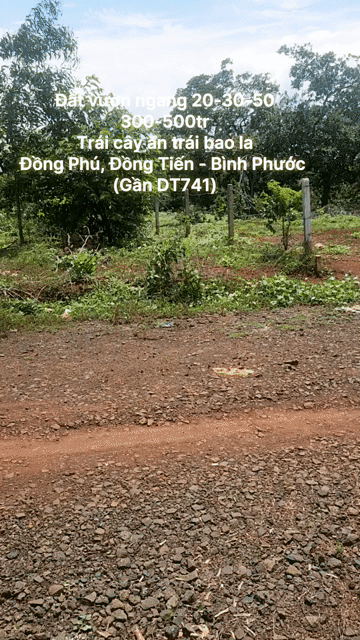 Mua bán Đất Huyện Đồng Phú Bình Phước diện tích 1000 m² giá 300 triệu