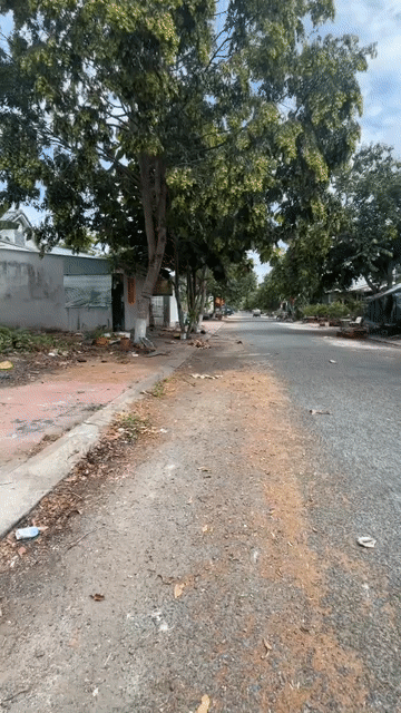 Mua bán Đất Thành phố Vĩnh Long Vĩnh Long diện tích 90 m² giá 1,3 tỷ