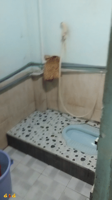 Cho thuê Nhà ở Huyện Hóc Môn Tp Hồ Chí Minh diện tích 60 m² giá 3 triệu/tháng
