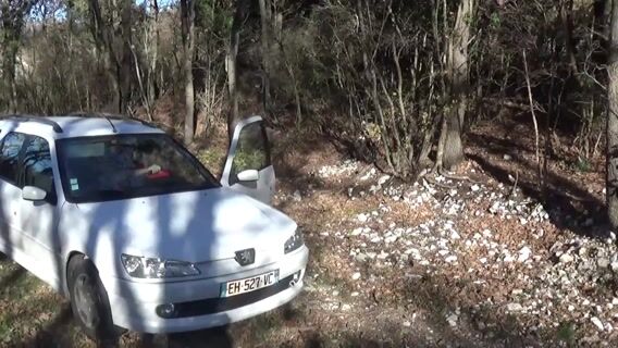 La Gestion forestière