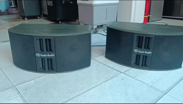 Loa Cali Audio 2 bass 2 treble 20cm. Mua bán Tivi, Âm thanh tại Thành phố Thủ Đức Tp Hồ Chí Minh được đăng bởi khodienmaygiare hình 1