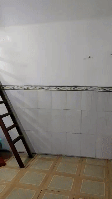 Cho thuê Phòng trọ Quận 12 Tp Hồ Chí Minh diện tích 15 m² giá 1,7 triệu/tháng