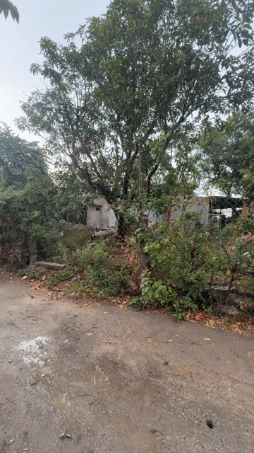Mua bán Đất Quận Liên Chiểu Đà Nẵng diện tích 85 m² giá 1,68 tỷ