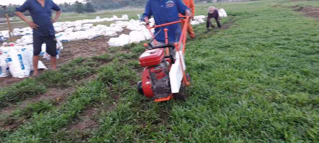 máy rọc cỏ sân bóng .sân golf. Mua bán Phương tiện khác tại Quận 8 Tp Hồ Chí Minh được đăng bởi Đức Tiến Phát hình 1