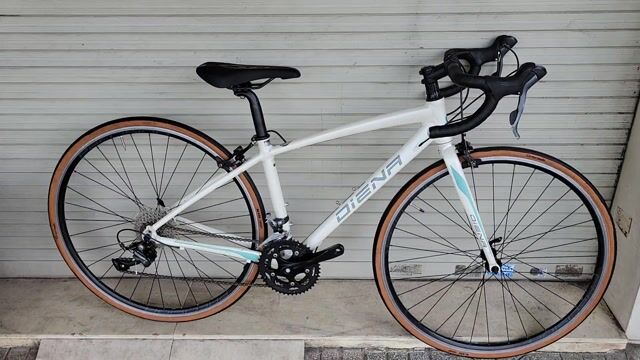 Xe đạp đua Diena Nhôm. Mua bán Xe đạp tại Huyện Bình Chánh Tp Hồ Chí Minh được đăng bởi XE ĐẠP TỐT hình 1
