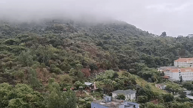 Mua bán Căn hộ Chung cư Oyster Bay Thành phố Vũng Tàu Bà Rịa - Vũng Tàu diện tích 34 m² giá 1,79 tỷ