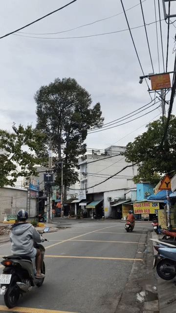 Mua bán Đất Quận 12 Tp Hồ Chí Minh diện tích 63 m² giá 6,19 tỷ