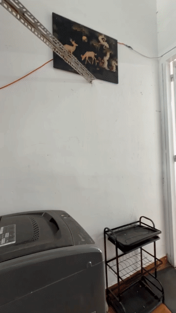 Cho thuê Căn hộ Chung cư Quận 10 Tp Hồ Chí Minh diện tích 45 m² giá 6,5 triệu/tháng