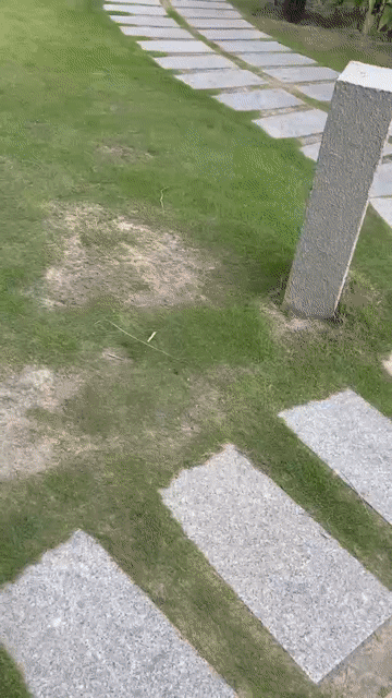 Cho thuê Căn hộ Chung cư The Arena Cam Ranh Thành phố Cam Ranh Khánh Hòa diện tích 35 m² giá 4 triệu/tháng
