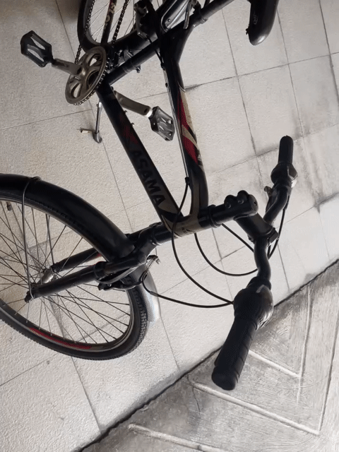 Xe đạp ASAMA đã sử dụng. Mua bán Xe đạp tại Quận 1 Tp Hồ Chí Minh được đăng bởi trần hoàng giang hình 1