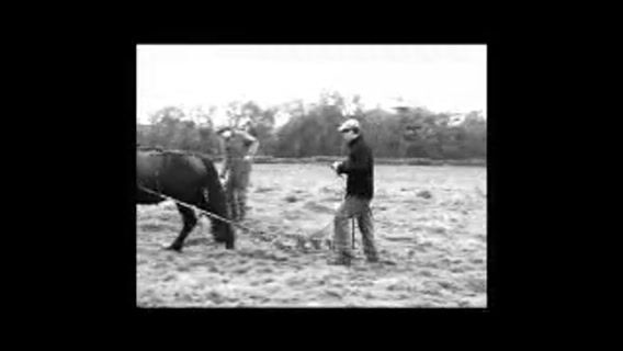 La maintenance agricole, une passion de toujours