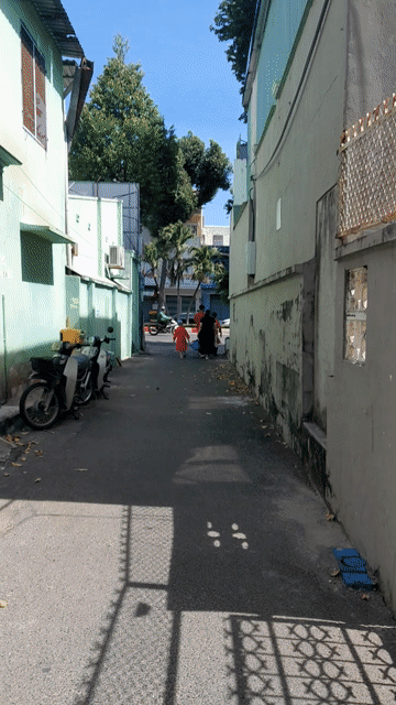 Cho thuê Phòng trọ Thành phố Vũng Tàu Bà Rịa - Vũng Tàu diện tích 16 m² giá 1,6 triệu/tháng