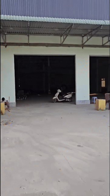 Cho thuê Văn phòng, Mặt bằng kinh doanh Thành phố Biên Hòa Đồng Nai diện tích 1000 m² giá 36 triệu/tháng