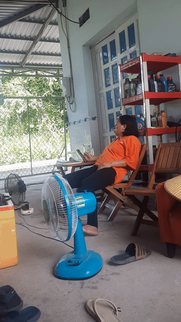 Mua bán Nhà ở Huyện Chợ Mới An Giang diện tích 2700 m² giá 4,2 tỷ