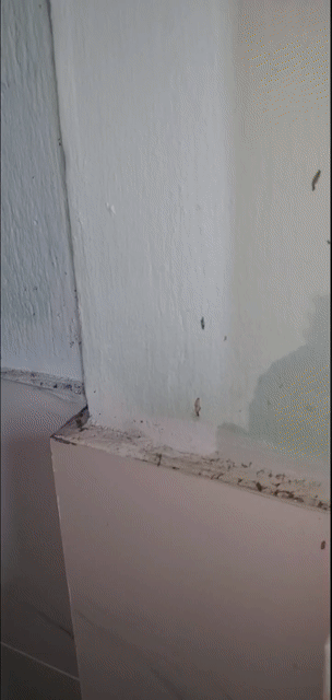 Cho thuê Căn hộ Chung cư Quận 3 Tp Hồ Chí Minh diện tích 29 m² giá 4,5 triệu/tháng