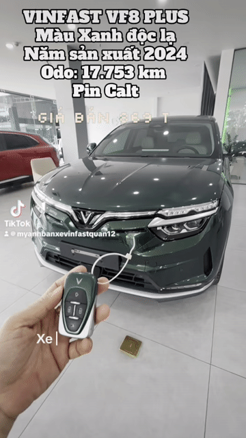 Bán Xe Lướt màu lạ VinFast VF8 Plus 2024 Xanh rêu. Mua bán Ô tô tại Quận 12 Tp Hồ Chí Minh được đăng bởi  Bán Xe điện VINFAST MỚI VÀ LƯỚT chính hãng hình 1
