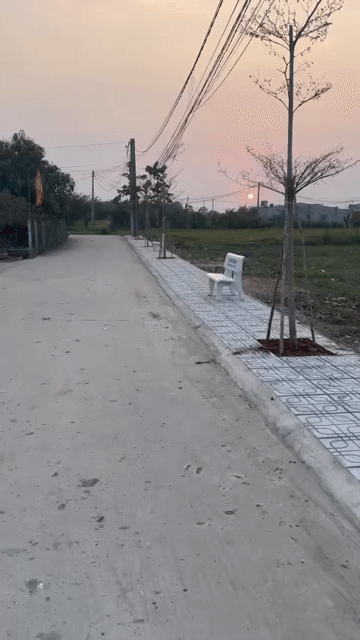 Mua bán Đất Huyện Đức Hòa Long An diện tích 41 m² giá 459 triệu