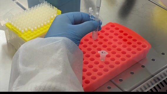 Le génome chez Genoscreen