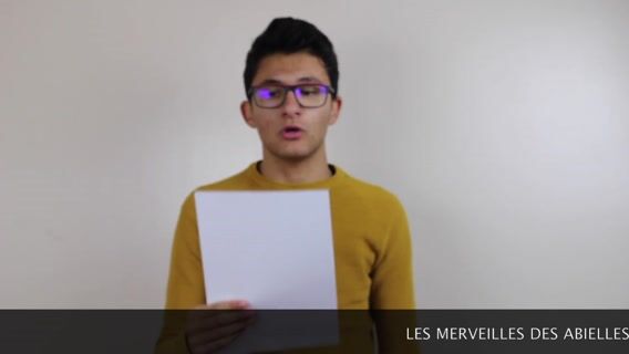 Les merveilles des Abeilles