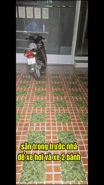 Mua bán Nhà ở Khu dân cư Hồng Long Thành phố Thủ Đức Tp Hồ Chí Minh diện tích 98 m² giá 12,69 tỷ