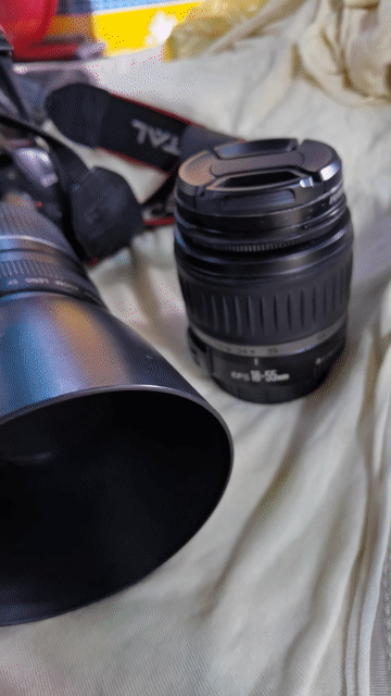 Máy ảnh Canon 1000D Đen kèm phụ kiện. Mua bán Máy ảnh, Máy quay tại Huyện Hóc Môn Tp Hồ Chí Minh được đăng bởi Quang Tùng hình 1