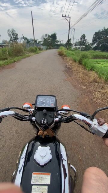 bán xe cd benly 125 - Dầu giây, Đồng nai. Mua bán Xe máy tại Huyện Thống Nhất Đồng Nai được đăng bởi Phan Thông hình 1