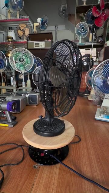 Quạt bàn Mitsubishi Kim loại Đen 30cm. Mua bán Quạt tại Thành phố Hải Dương Hải Dương được đăng bởi hồ văn út  hình 1
