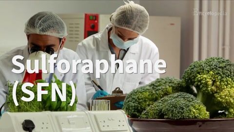 Encyclopedia-Sulforaphane as a Multi-Scale Mechano-Modulator in Cancer