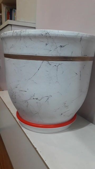 Chậu cây gốm sứ trắng vân đá. Mua bán Cây cảnh, đồ trang trí tại Quận Hai Bà Trưng Hà Nội được đăng bởi Mb thanh hình 1