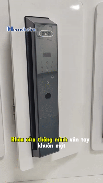 Khóa cửa thông minh Herosheim S206 Pro. Mua bán Nội thất, đồ gia dụng khác tại Huyện Văn Giang Hưng Yên được đăng bởi Herosheim Vietnam hình 1