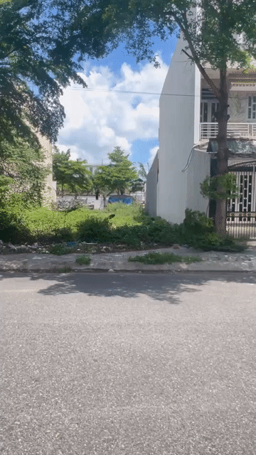 Mua bán Đất Khu dân cư Tân Đô Huyện Đức Hòa Long An diện tích 130 m² giá 1,59 tỷ