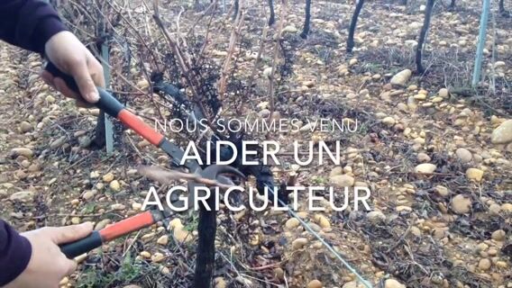 Viticulteur : La gloire de mon père